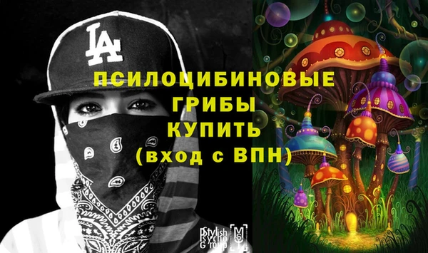 тгк Армянск