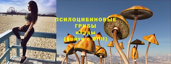 тгк Армянск