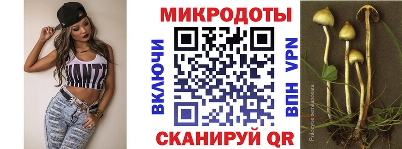Псилоцибиновые грибы прущие грибы  продажа наркотиков  Долгопрудный 